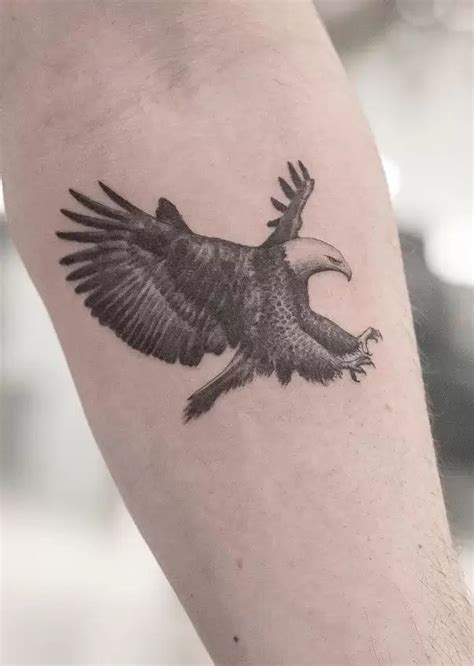 Top 74 Realistic Eagle Forearm Tattoo Esthdonghoadian