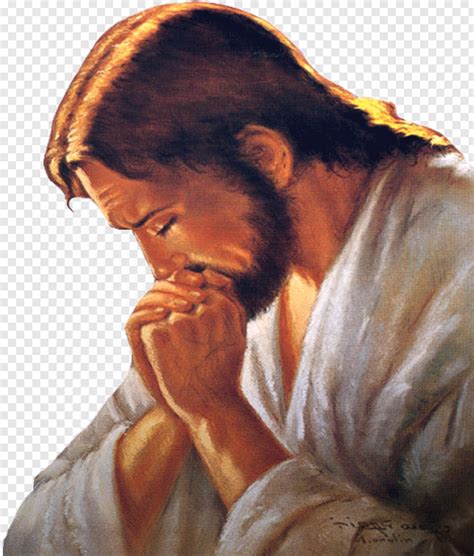 Manos Orando Jesus Orando Transparent Png 490x576 16867195 Png
