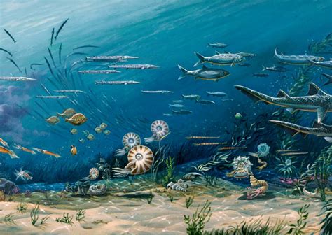 Ocean Through Time Smithsonian Ocean