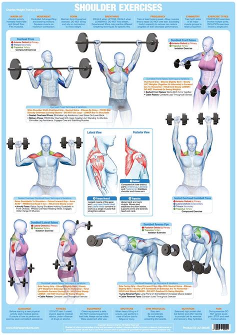 Bodybuilding Weight Training Exercise Posters Set Of 6 Barbell And