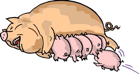 Pictures Of Cartoon Pigs Clip Art Library