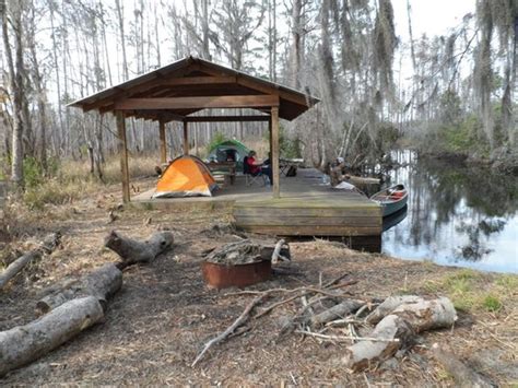 Camping and Canoeing in the Okefenokee Swamp