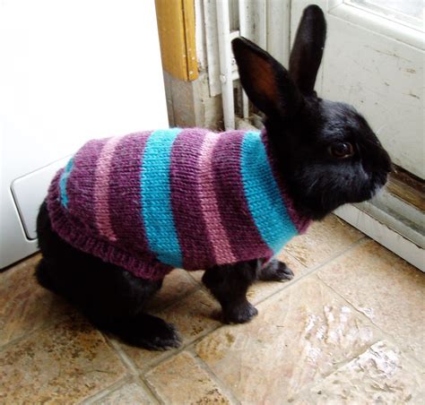 Sukilii Blog Bunny Sweaters