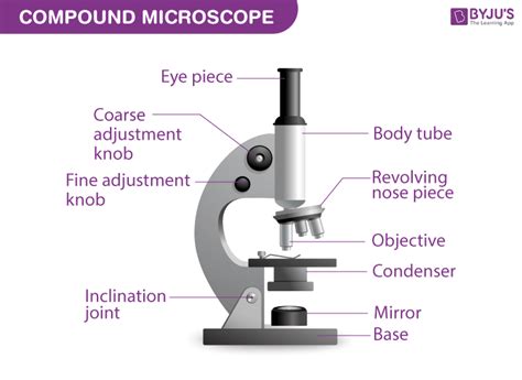 Mention The Function Of Each Microscope Part Byjus Biology