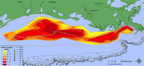 Gulf Hypoxia In The Northern Gulf Of Mexico