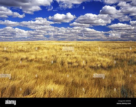 Short Grass Prairies Hi Res Stock Photography And Images Alamy