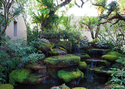 Tropical Rainforest With Zen Accent