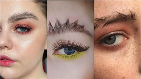 Feather Dragon Barbed Wire — The Weirdest Brow Trends To Take Over