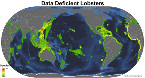 Mapping The Diversity Of The Worlds Lobsters