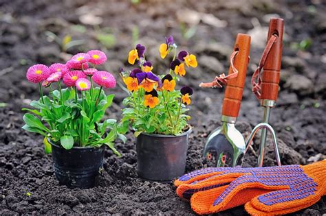 Taking Up Gardening To Reduce Anxiety Zesty Things