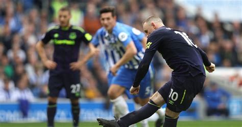 Link trực tiếp west bromwich albion vs everton sẽ có từ 15 phút trước khi trận đấu diễn ra. Prediksi Skor Brighton vs Everton | Bursa Online