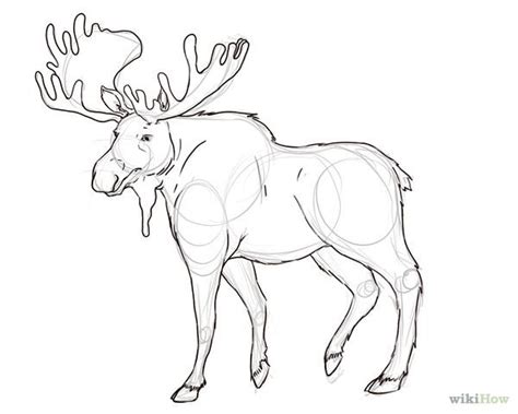 How To Draw A Moose 6 Steps Wikihow Outline Art Drawings Animal