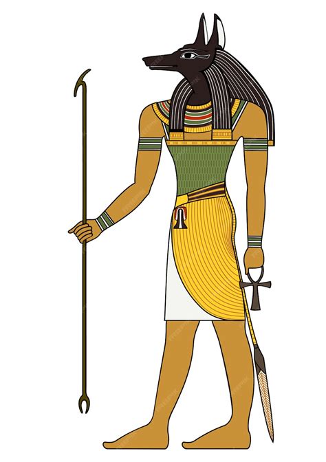 Premium Vector Egyptian Ancient God Anubis