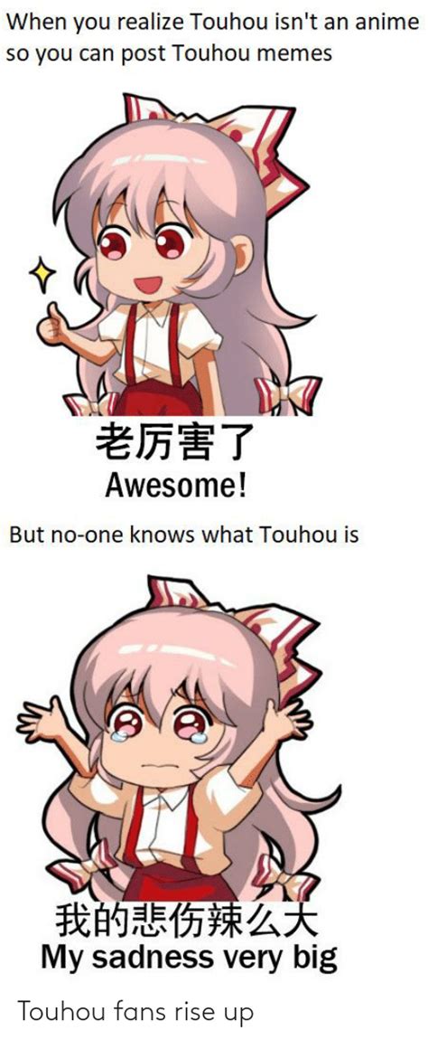 The Best Touhou Memes Memedroid