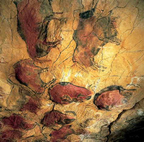 Альтамира пещера (71 фото)