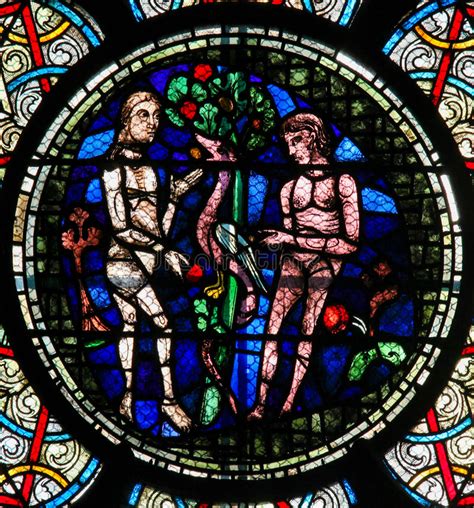 Creation Of Adam And Eve Stock Image Image Of Notre 21859771