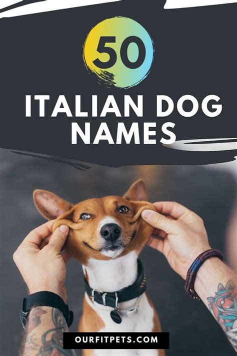 50 Italian Dog Names Our Fit Pets Italian Dog Names Italian Dogs