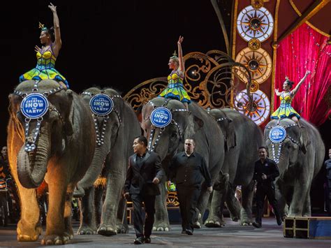 Ringling Brothers Circus Elephants