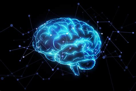 How does a neuron know where to go? 'Error Neurons' Play Role in How Brain Processes Mistakes