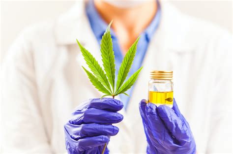 Medical Cannabis And The Challenge For Regulation Of Medicines