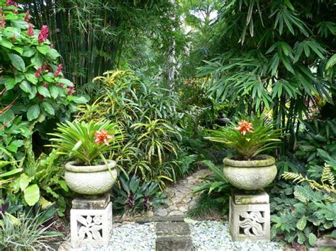 Plants For Tropical Gardens