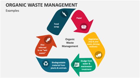 Organic Waste Management PowerPoint Presentation Slides PPT Template