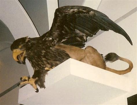 Griffin Facts for Kids