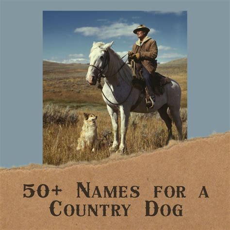 50 Redneck And Bodacious Country Music Dog Names Pethelpful