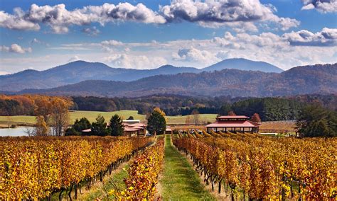 Chateau Merrillanne Bs Guide To Virginia Wineries