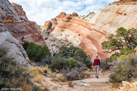 16 Epic Day Hikes In Capitol Reef National Park Earth Trekkers