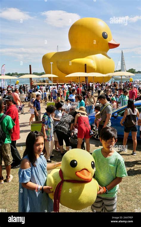The Worlds Largest Rubber Duck Arrived In Toronto Ontario Canada On