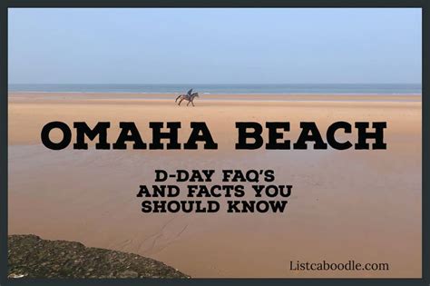 How many allies managed to land safely? 27 D-Day Facts: Invasion, Combatants, Casualties, FAQ's ...