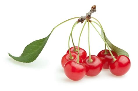 28 Different Types Of Cherries