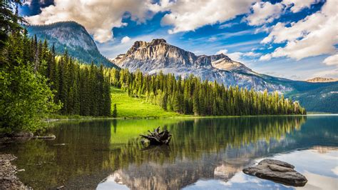Emerald Lake In Banff National Park 5k Wallpapers Hd
