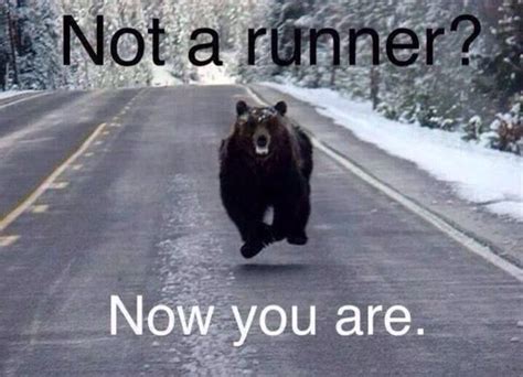 Now Go Run Get More Running Motivation On Favorite Run Facebook Page