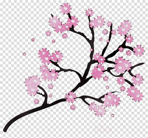 Cherry Blossom Tree Drawing Transparent Background Transparent Cherry