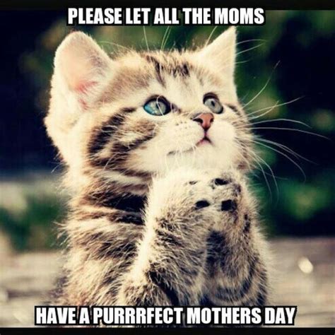11 Happy Mothers Day 2018 Memes That Will Make Mom Laugh And Say True