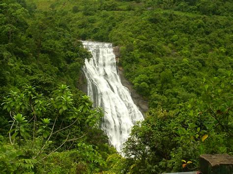 Cyril Tours Ravana Waterfall Ella Sri Lanka