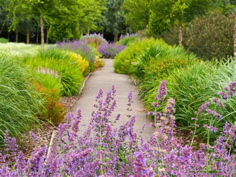 Garden Path And Flower Beds In An English Summer Garden Stock Image