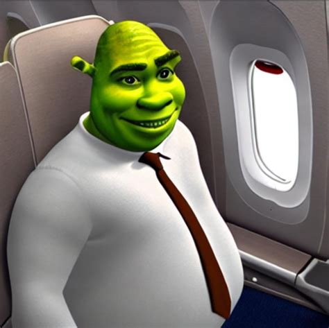 Shrek Flies Business Class Rweirddalle