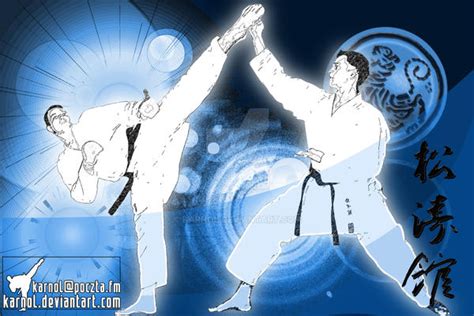 Shotokan Karate Poster 6 By Karnol On Deviantart