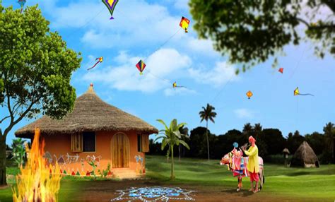 Makar Sankranti All You Should Know About The Festival Of Kites