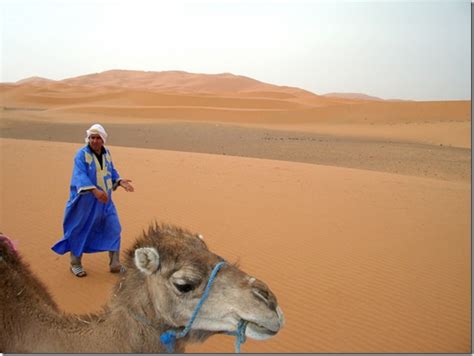 Fun Crawler The Great Sahara Desert