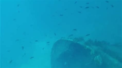 Snorkeling In Aruba Sunken Ship Youtube