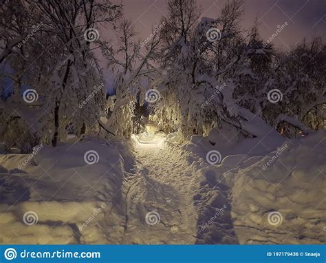 Winter Wonderland In Iceland Stock Photo Image Of Tranquilityn Peave