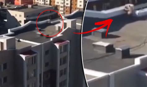 Couple Videoed Having SEX On Rooftop By Baffled Homeowner Express Co Uk