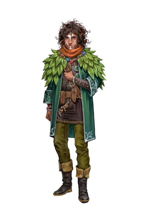 Male Half Elf Druid Ranger Jungle Pathfinder 2e Pfrpg Pfsrd Dnd Dandd 3