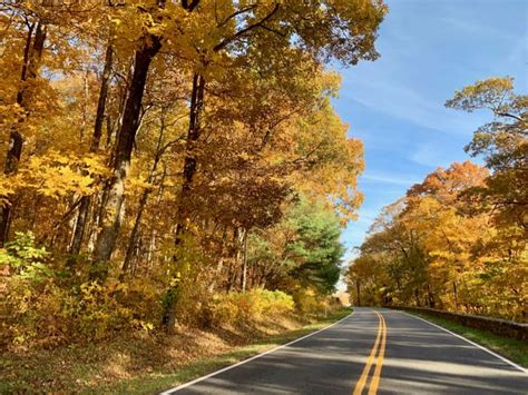 Ways To Enjoy Fall Foliage In Shenandoah National Park