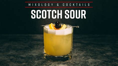 How To Make The Perfect Scotch Whisky Sour Scotch Sour Recipe Youtube