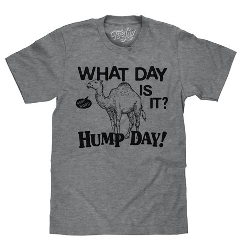 What Day Is It Hump Day Camel T Shirt Gray Tee Luv